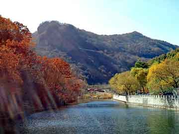 澳彩资料免费长期公开，卡康尼汽车节油器